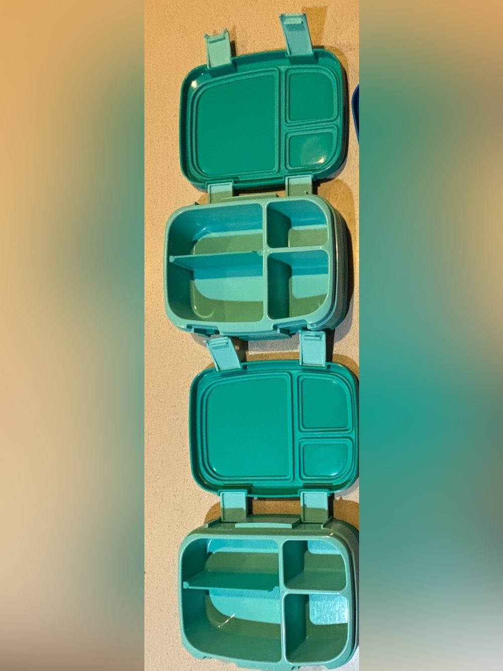 Bentgo Lunch Boxes - Picture 4 of 5